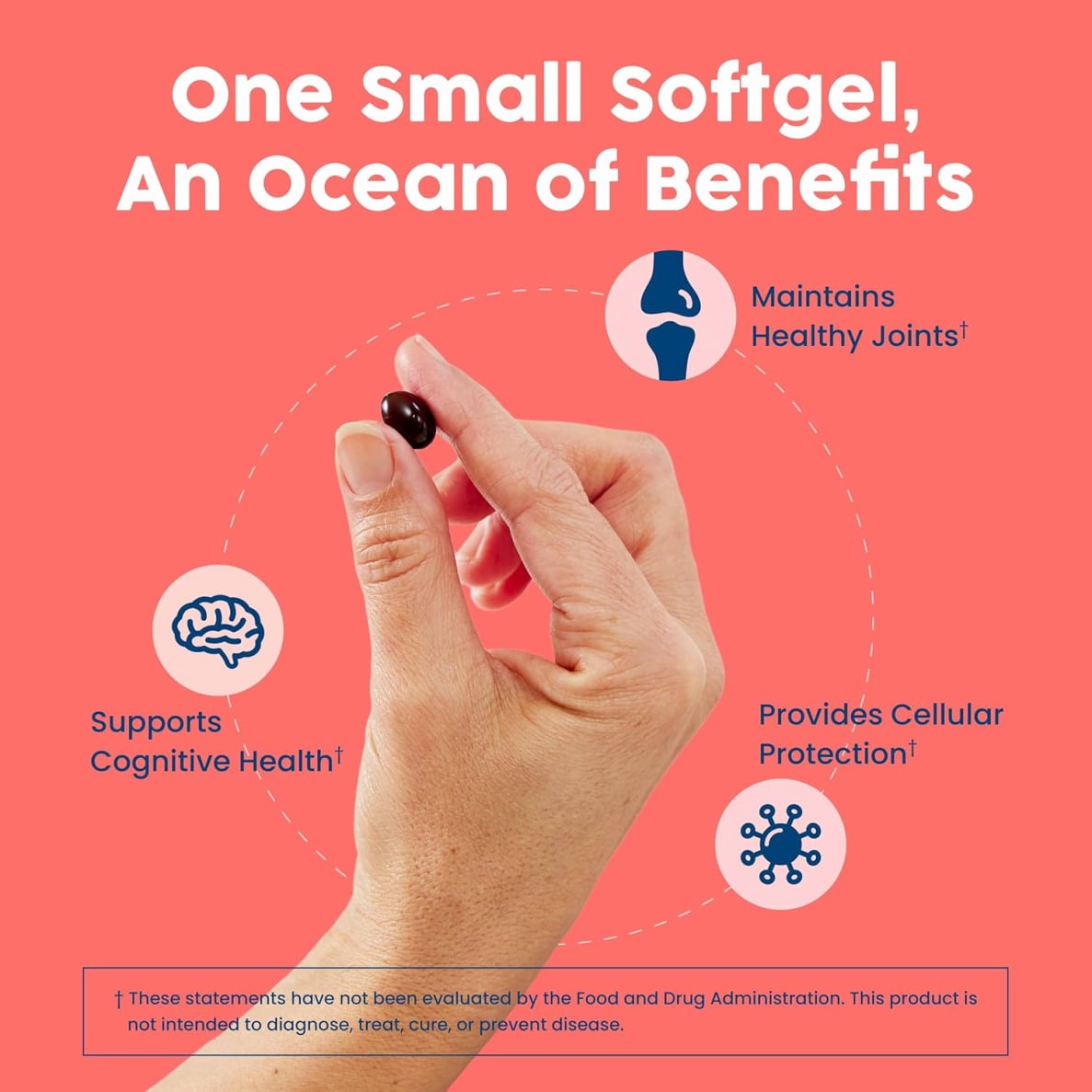 Native Antarctic Krill Oil Benefits